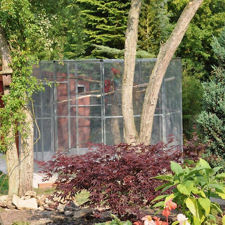 The Willows Bed & Breakfast Йорк Экстерьер фото
