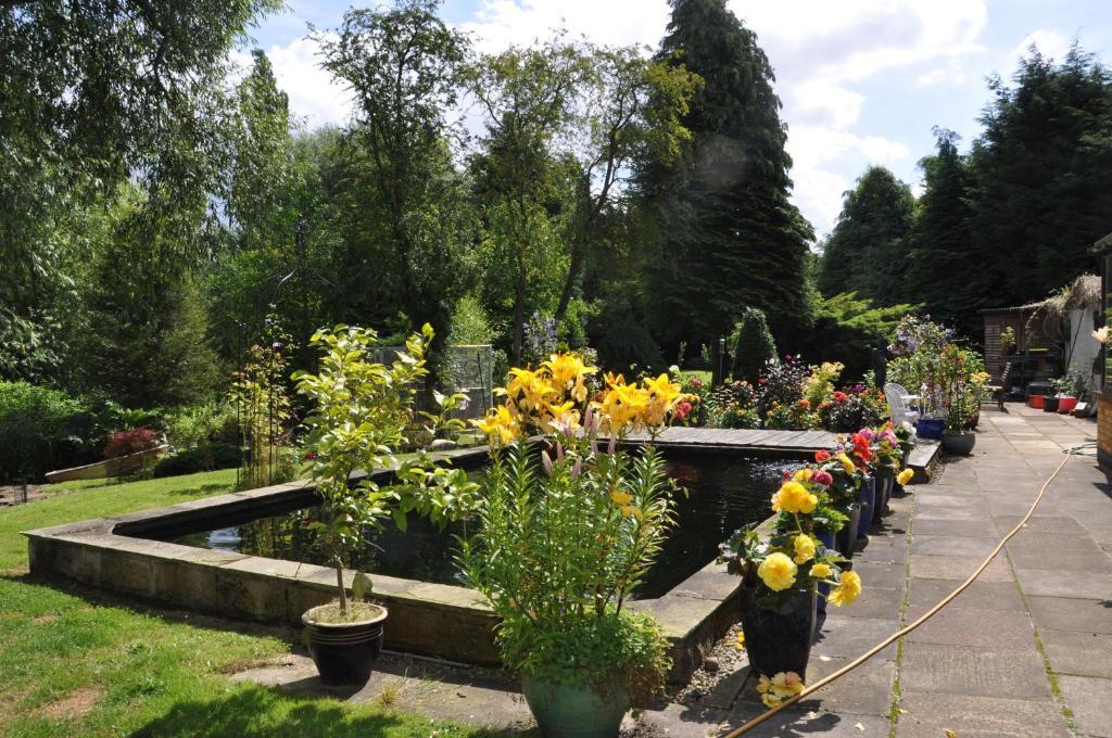 The Willows Bed & Breakfast Йорк Экстерьер фото